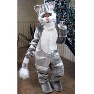  Кот с открытым лицом 